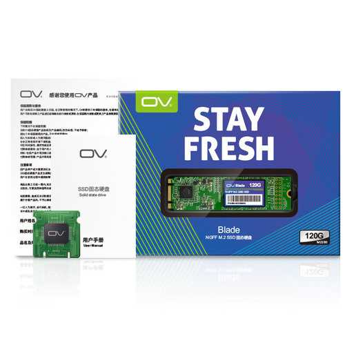 OV Blade Series SSDOV101-120G M.2 NGFF 120G 2280 SSD Internal Solid State Drive Hard Drive